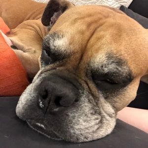 Meet your Posher, Jessica